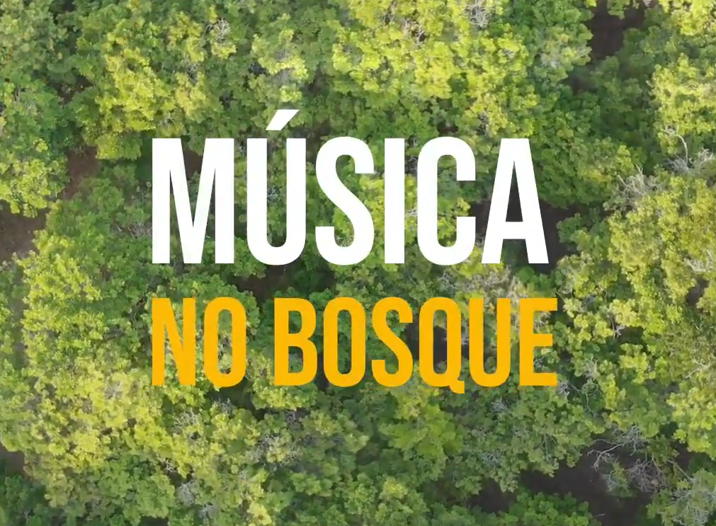 MÚSICA NO BOSQUE